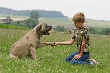 ENFANT ET CHIEN 441